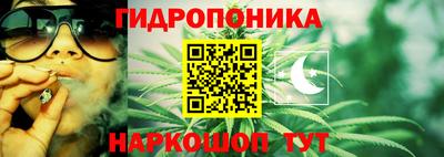 ешки Пугачёв