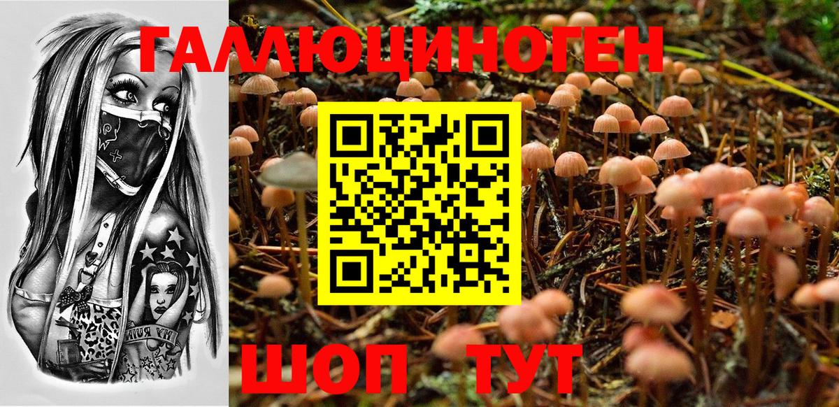 Галлюциногенные грибы мухоморы Псков