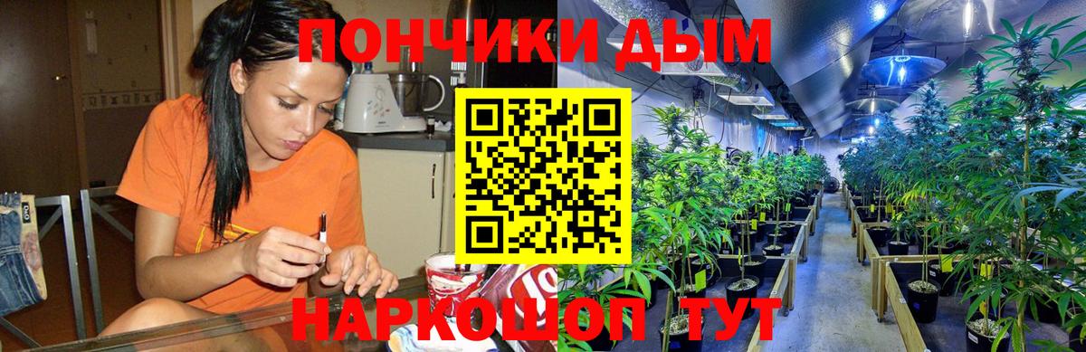 Псков  МАРИХУАНА семена  Каннабис план  Вход с VPN  МАРИХУАНА план 